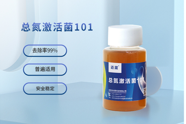  耐盐总氮降解菌 