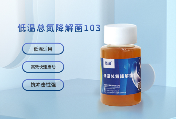  低温总氮降解菌103 