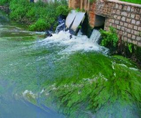 聚合硫酸铁饮用水除砷