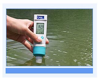 溶解氧检测