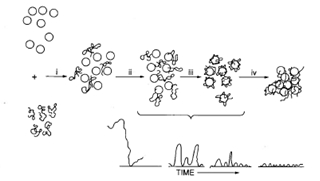 聚合硫酸铁混凝
